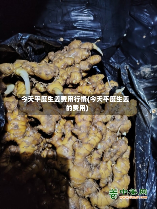 今天平度生姜费用行情(今天平度生姜的费用)-第2张图片
