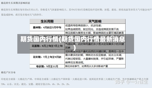 期货国内行情(期货国内行情最新消息)