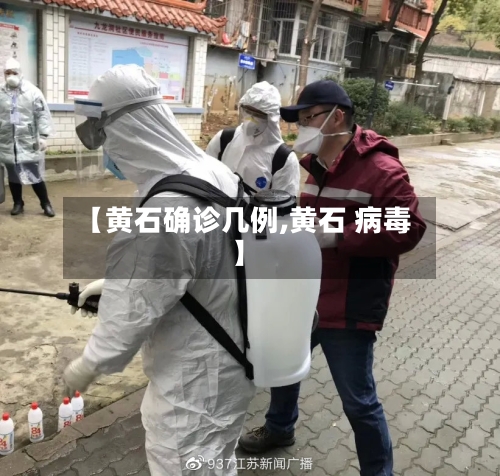 【黄石确诊几例,黄石 病毒】