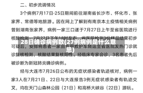 28日确诊病例数(27例病例是什么意思)-第3张图片