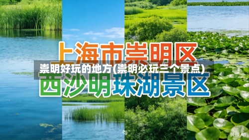 崇明好玩的地方(崇明必玩三个景点)-第2张图片