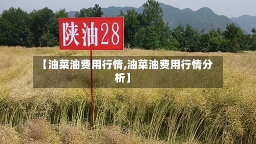 【油菜油费用行情,油菜油费用行情分析】