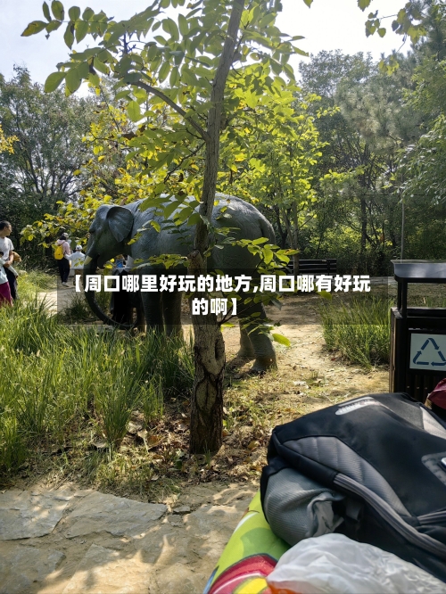 【周口哪里好玩的地方,周口哪有好玩的啊】-第2张图片
