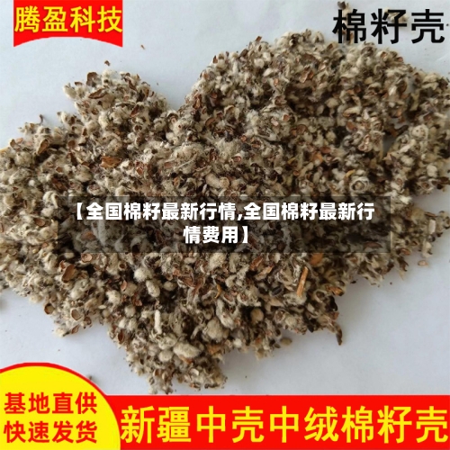 【全国棉籽最新行情,全国棉籽最新行情费用】-第2张图片