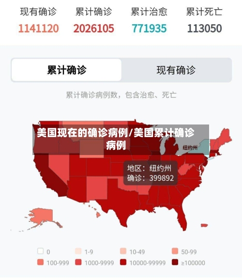 美国现在的确诊病例/美国累计确诊病例