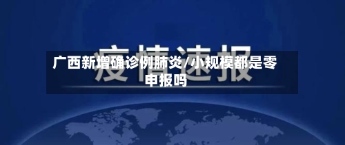 广西新增确诊例肺炎/小规模都是零申报吗-第2张图片