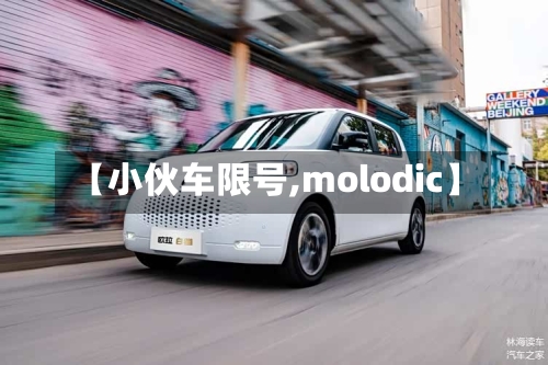 【小伙车限号,molodic】