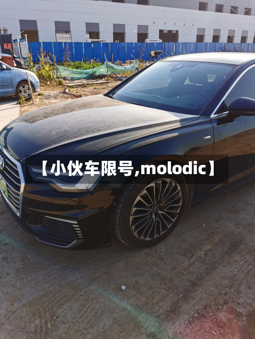 【小伙车限号,molodic】-第2张图片