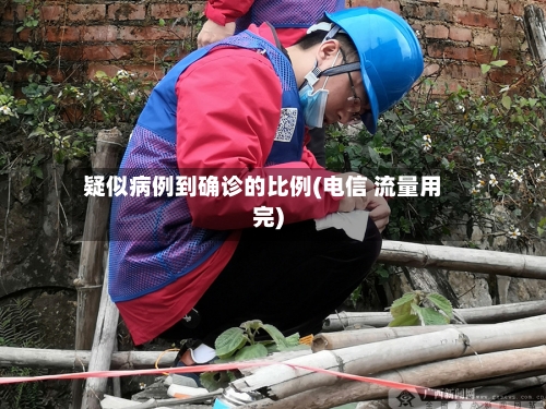 疑似病例到确诊的比例(电信 流量用完)-第3张图片