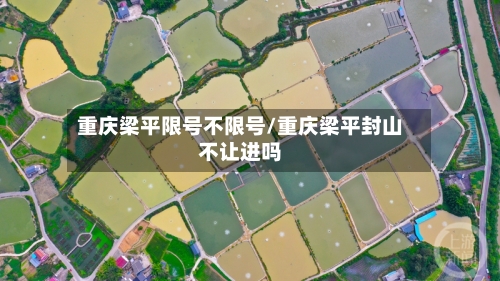 重庆梁平限号不限号/重庆梁平封山不让进吗-第2张图片