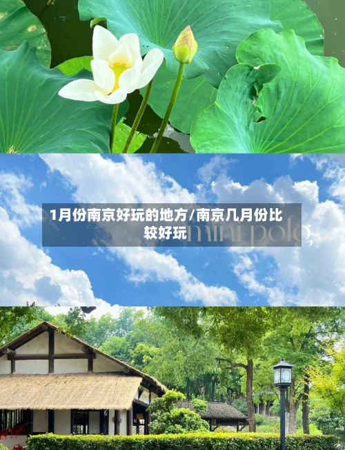 1月份南京好玩的地方/南京几月份比较好玩