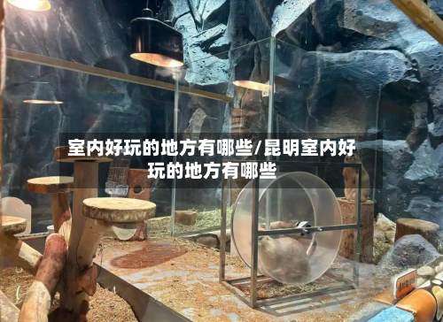 室内好玩的地方有哪些/昆明室内好玩的地方有哪些-第2张图片