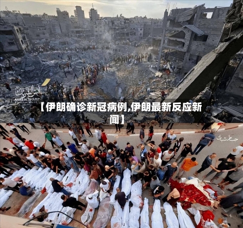 【伊朗确诊新冠病例,伊朗最新反应新闻】-第3张图片