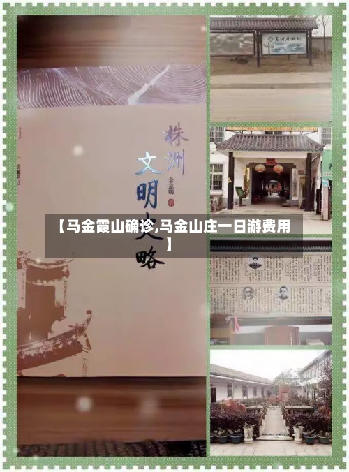 【马金霞山确诊,马金山庄一日游费用】-第3张图片