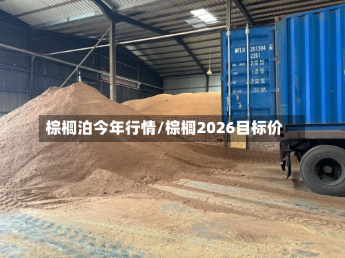 棕榈泊今年行情/棕榈2026目标价