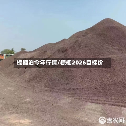 棕榈泊今年行情/棕榈2026目标价-第2张图片
