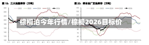 棕榈泊今年行情/棕榈2026目标价-第3张图片