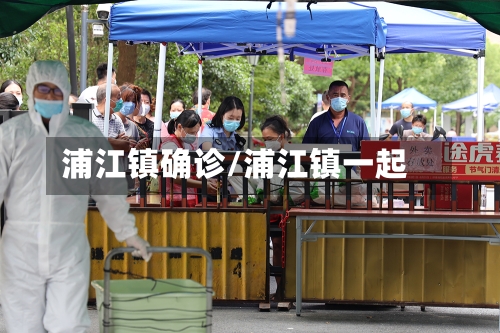 浦江镇确诊/浦江镇一起-第2张图片