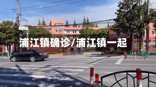 浦江镇确诊/浦江镇一起-第3张图片