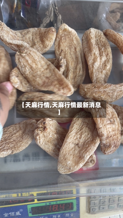 【天麻行情,天麻行情最新消息】-第1张图片