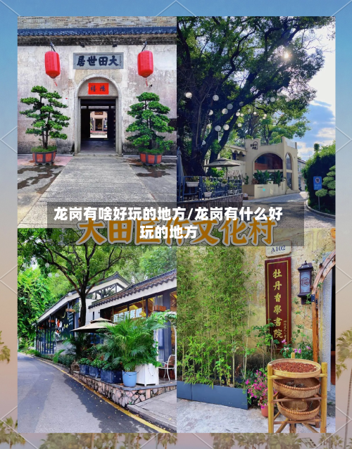 龙岗有啥好玩的地方/龙岗有什么好玩的地方-第3张图片