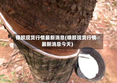 橡胶现货行情最新消息(橡胶现货行情最新消息今天)-第3张图片
