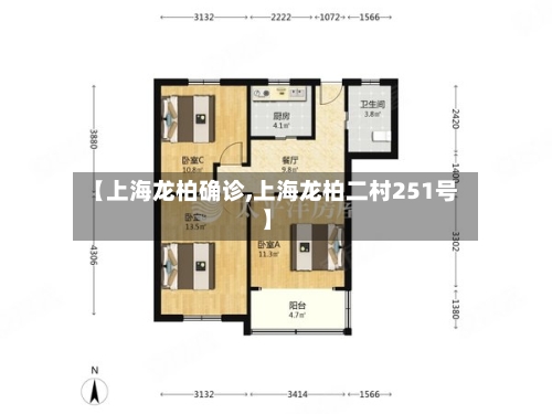 【上海龙柏确诊,上海龙柏二村251号】-第2张图片