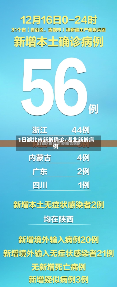 1日湖北省新增确诊/湖北新增病例