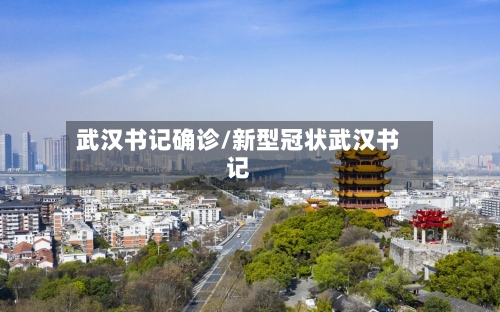 武汉书记确诊/新型冠状武汉书记-第2张图片