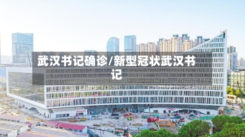 武汉书记确诊/新型冠状武汉书记