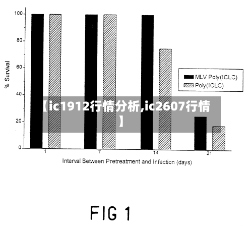 【ic1912行情分析,ic2607行情】