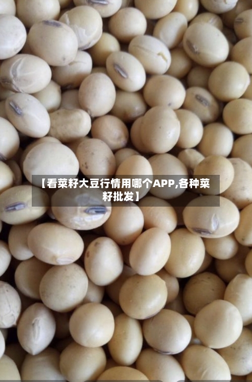 【看菜籽大豆行情用哪个APP,各种菜籽批发】-第2张图片