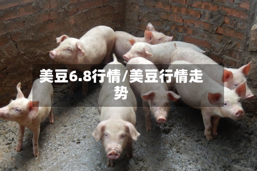 美豆6.8行情/美豆行情走势