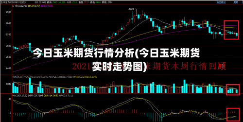 今日玉米期货行情分析(今日玉米期货实时走势图)-第2张图片