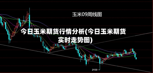 今日玉米期货行情分析(今日玉米期货实时走势图)-第3张图片