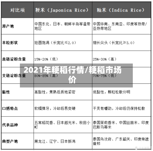 2021年粳稻行情/粳稻市场价-第3张图片