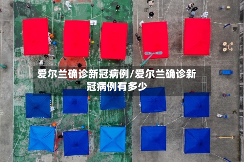 爱尔兰确诊新冠病例/爱尔兰确诊新冠病例有多少-第3张图片