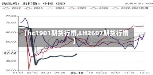 【hc1901期货行情,LH2607期货行情】-第2张图片