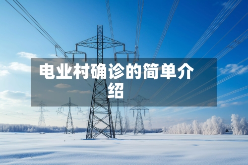 电业村确诊的简单介绍