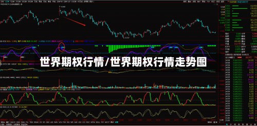 世界期权行情/世界期权行情走势图
