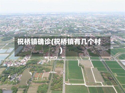 祝桥镇确诊(祝桥镇有几个村)-第2张图片
