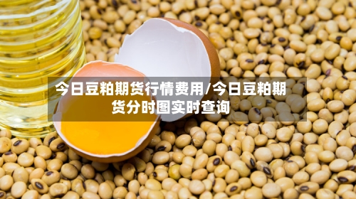 今日豆粕期货行情费用/今日豆粕期货分时图实时查询-第3张图片
