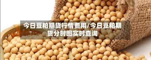 今日豆粕期货行情费用/今日豆粕期货分时图实时查询