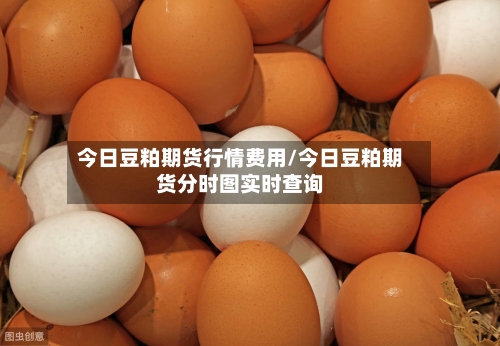 今日豆粕期货行情费用/今日豆粕期货分时图实时查询-第2张图片