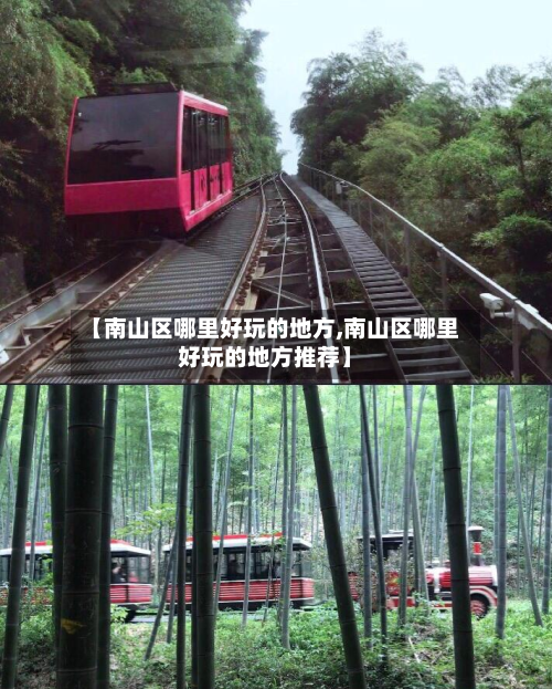 【南山区哪里好玩的地方,南山区哪里好玩的地方推荐】-第2张图片