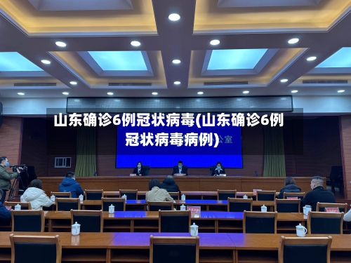 山东确诊6例冠状病毒(山东确诊6例冠状病毒病例)-第2张图片