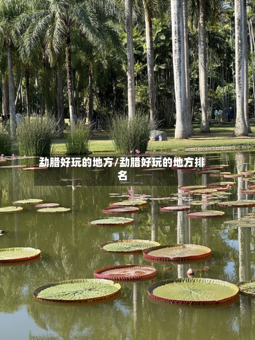 勐腊好玩的地方/勐腊好玩的地方排名-第2张图片