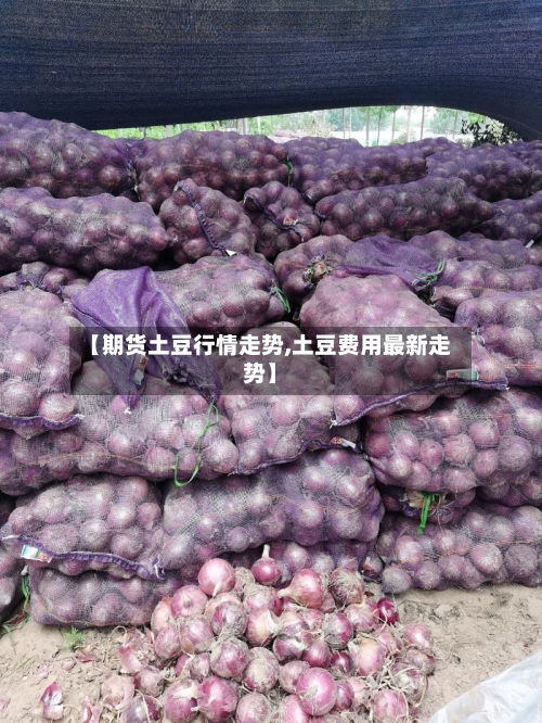 【期货土豆行情走势,土豆费用最新走势】