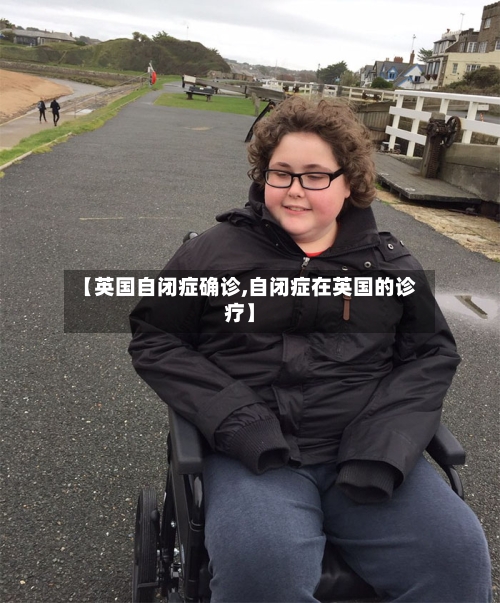 【英国自闭症确诊,自闭症在英国的诊疗】-第2张图片