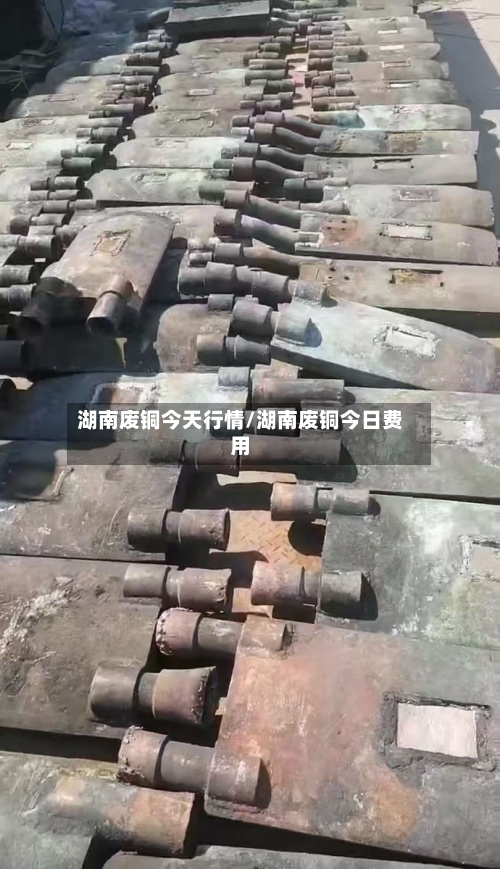 湖南废铜今天行情/湖南废铜今日费用